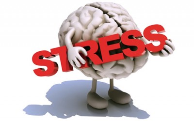 El cortisol, la hormona del estrés.