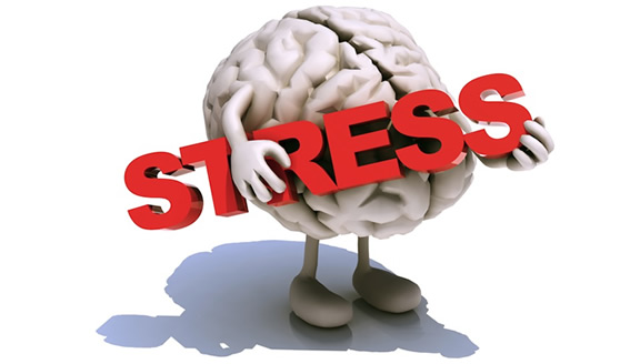 El cortisol, la hormona del estrés.
